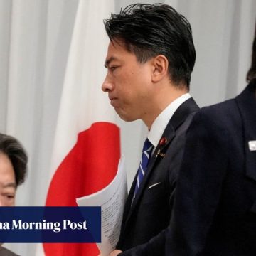 Japan’s ruling LDP to pick new leader amid Trump summit and election woes