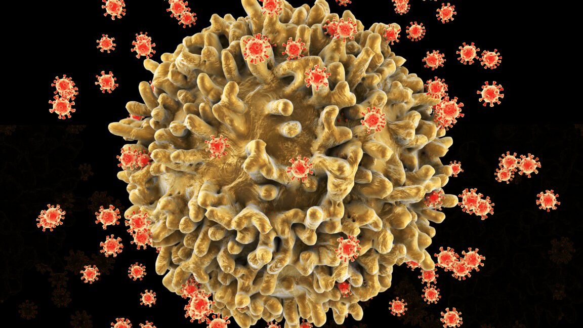 The surface of the T-cell has a lumpy appearance with large irregular surface protrusions. Smaller spherical structures on the cell surface are HIV virus particles budding away from the cell membrane. The virus has infected the T-cell, and instructed the cell to reproduce many more viruses.