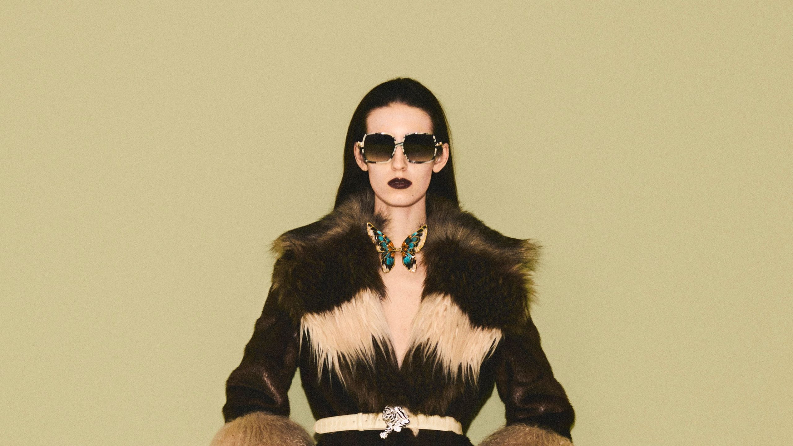 Roberto Cavalli Pre-Fall 2026 Collection