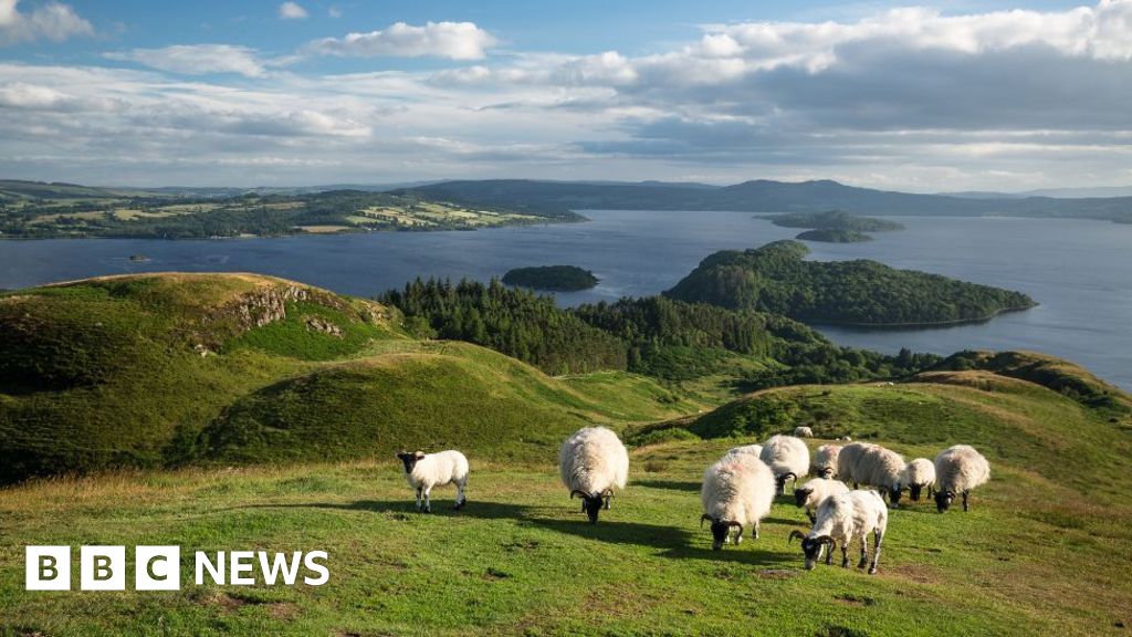 Scottish Parliament passes land reform bill