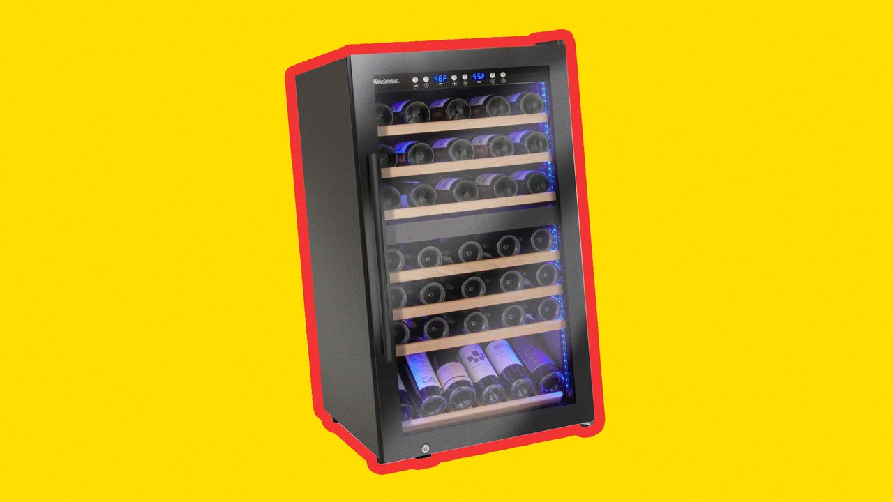 The Best Black Friday Wine Refrigerator Deals to Keep Your Bottles at Their Best