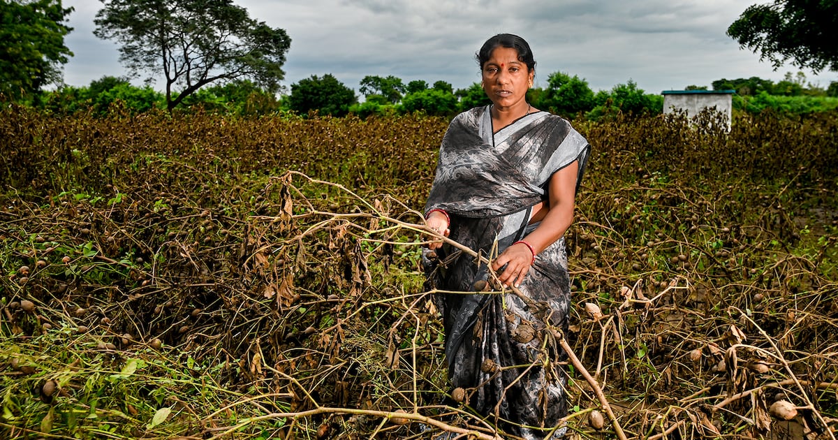 The Frayed Edge: Survival Is Fashion’s Next Big Climate Challenge