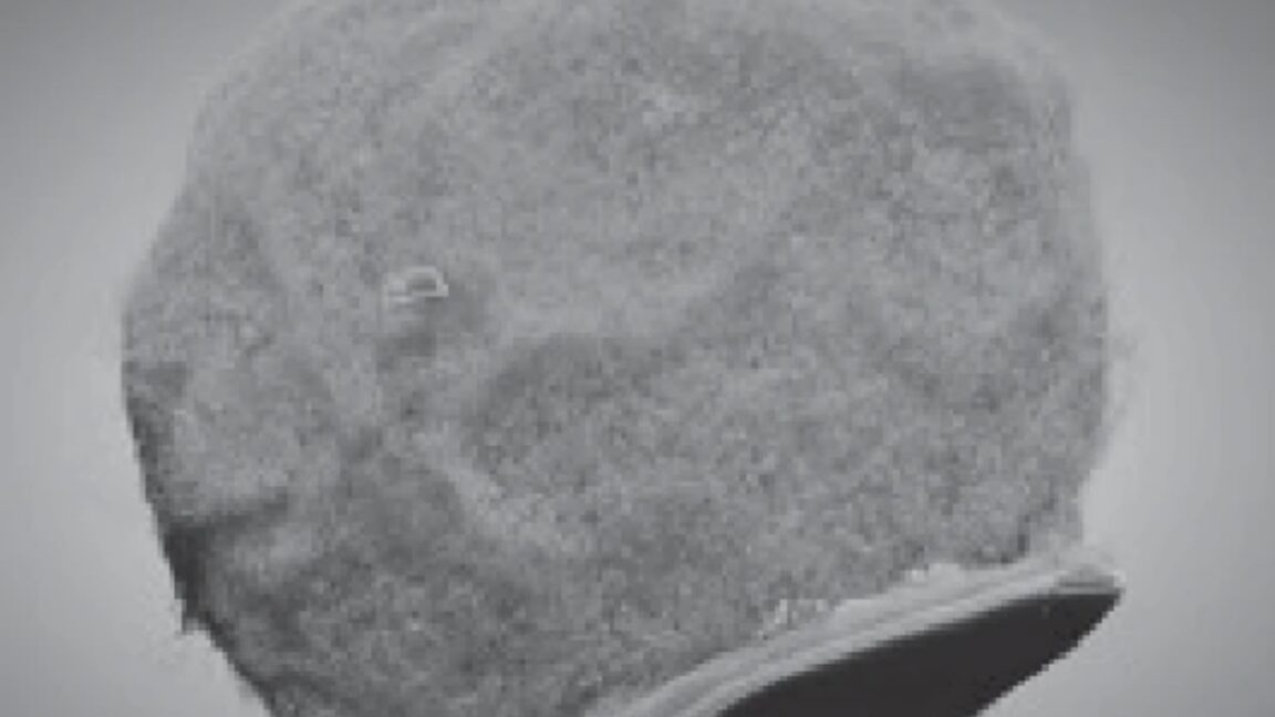 greyscale image of a rough, largely spherical object with one end pushed up against a small, flat disk.