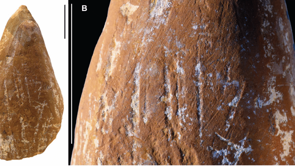 Photo of a yellow-brown rock with a pointed tip