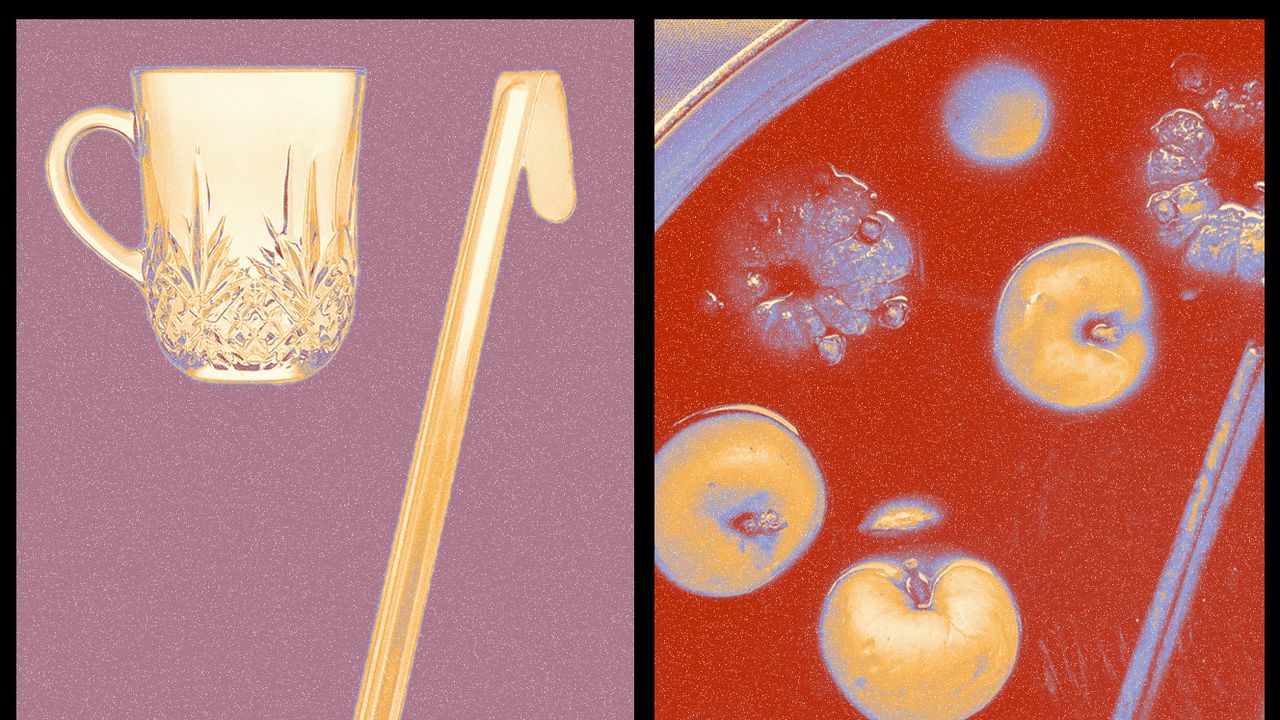 Everything You Need for a Cozy Mulled-Wine Night In