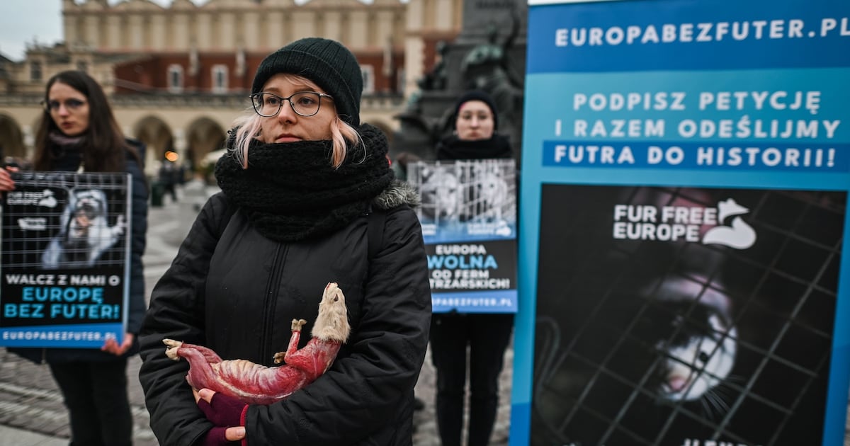 Poland Bans Fur Farming in a Major Blow to the Global Fur Trade