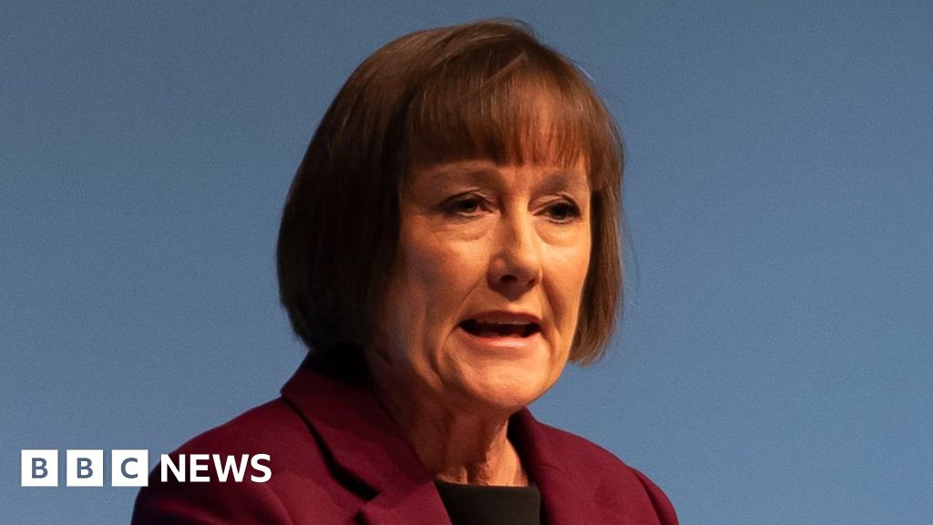 Welsh secretary Jo Stevens labelled 'dinosaur' for only communicating in English